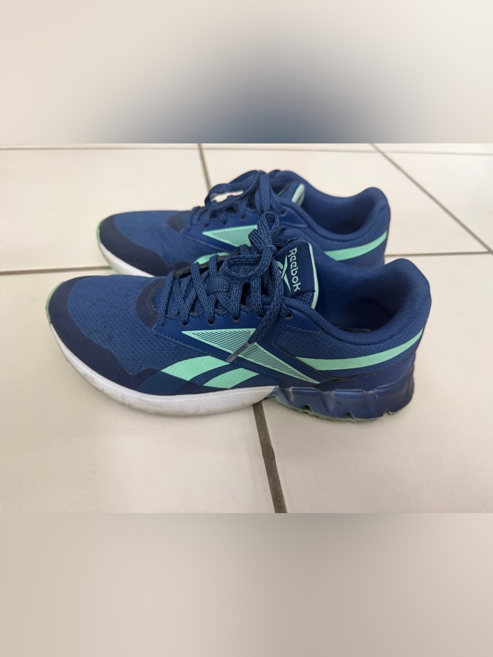 Reebok Women’s Navy and Mint Lightweight Athletic Shoes